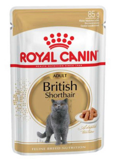 پوچ گربه نژاد بریتیش رویال کنین Royal Canin British وزن 85 گرم