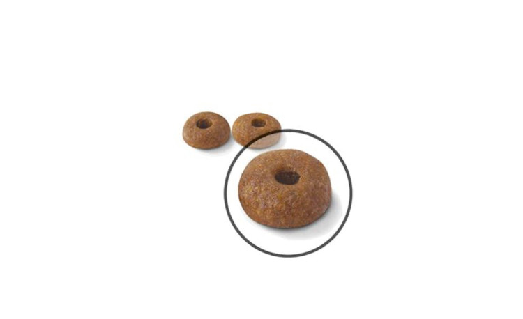 غذا خشک گربه رویال کنین دایجستیو (2 کیلوگرم)