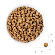 غذای خشک گربه بالغ رفلکس پلاس با طعم مرغ (فله )